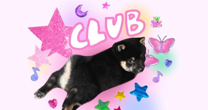 Xavier Canine Club