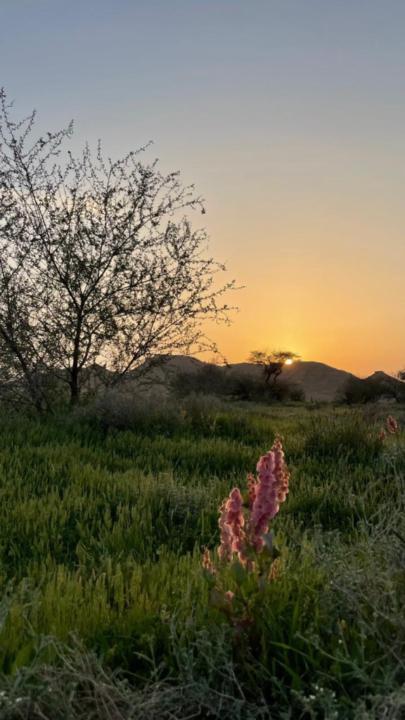 خالد الناصر