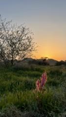 خالد الناصر