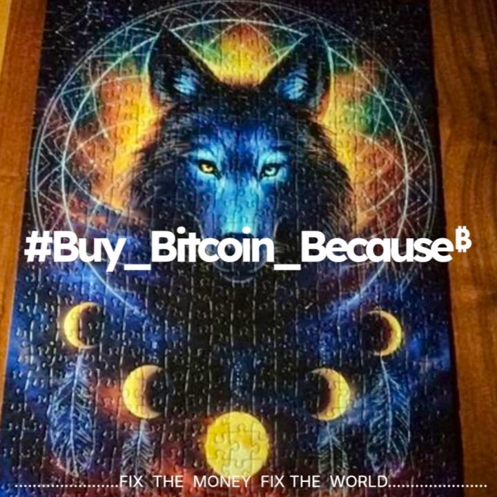 Chris Blockchain Believer