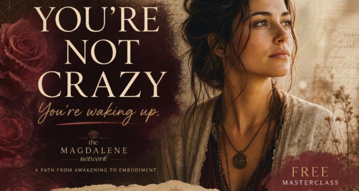 The MAGDALENE Network