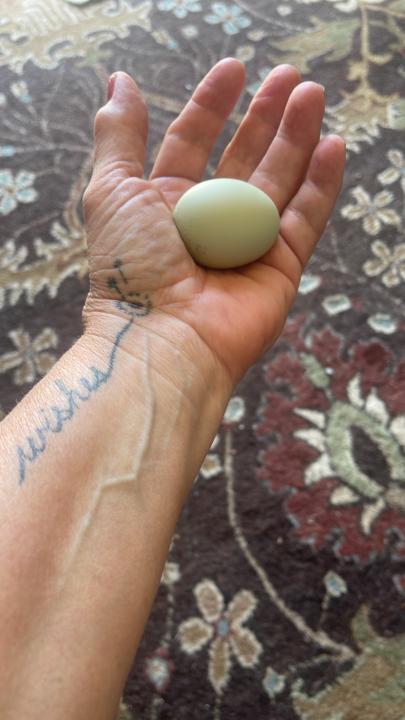 Red egg? 