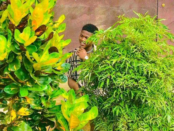 Samuel Wilfried Bitom