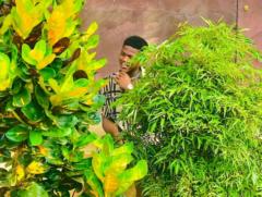 Samuel Wilfried Bitom