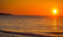Sole Sole