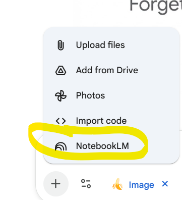 Gemini and NotebookLM Integration