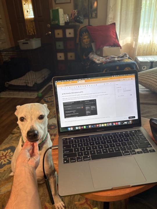 We Lost a Good One Last Night 💔 🐶