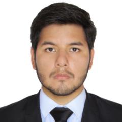 Nestor Andres Villafane Asmat