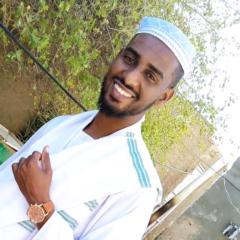 Ahmed abdelrahman mohamed Abdalgadir