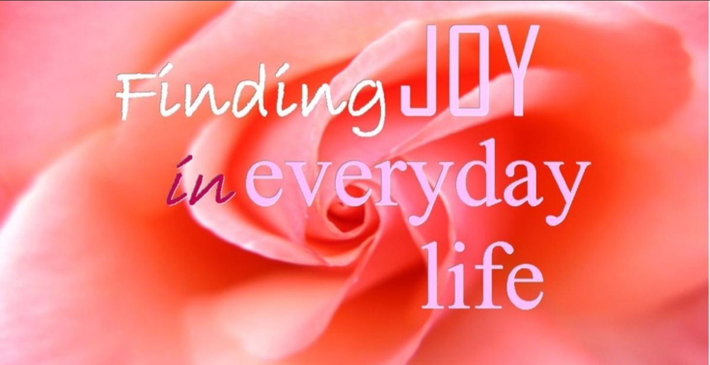 Find Joy in Everyday: A Journey into Miracles