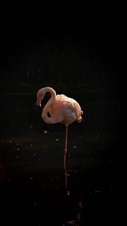 Sunday Morning Peace 