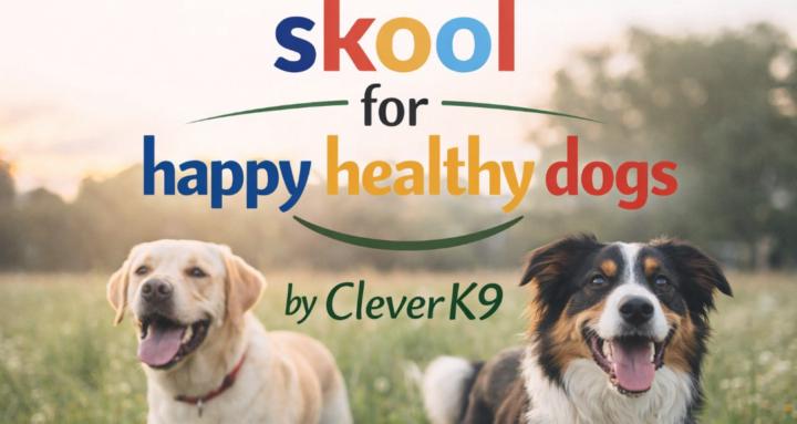 Skool for Happy Healthy Dogs