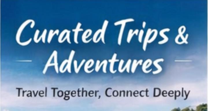 Curated Passport Collective