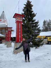 Rosanna Lavendel Frost