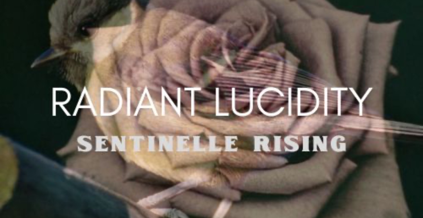Radiant Lucidity