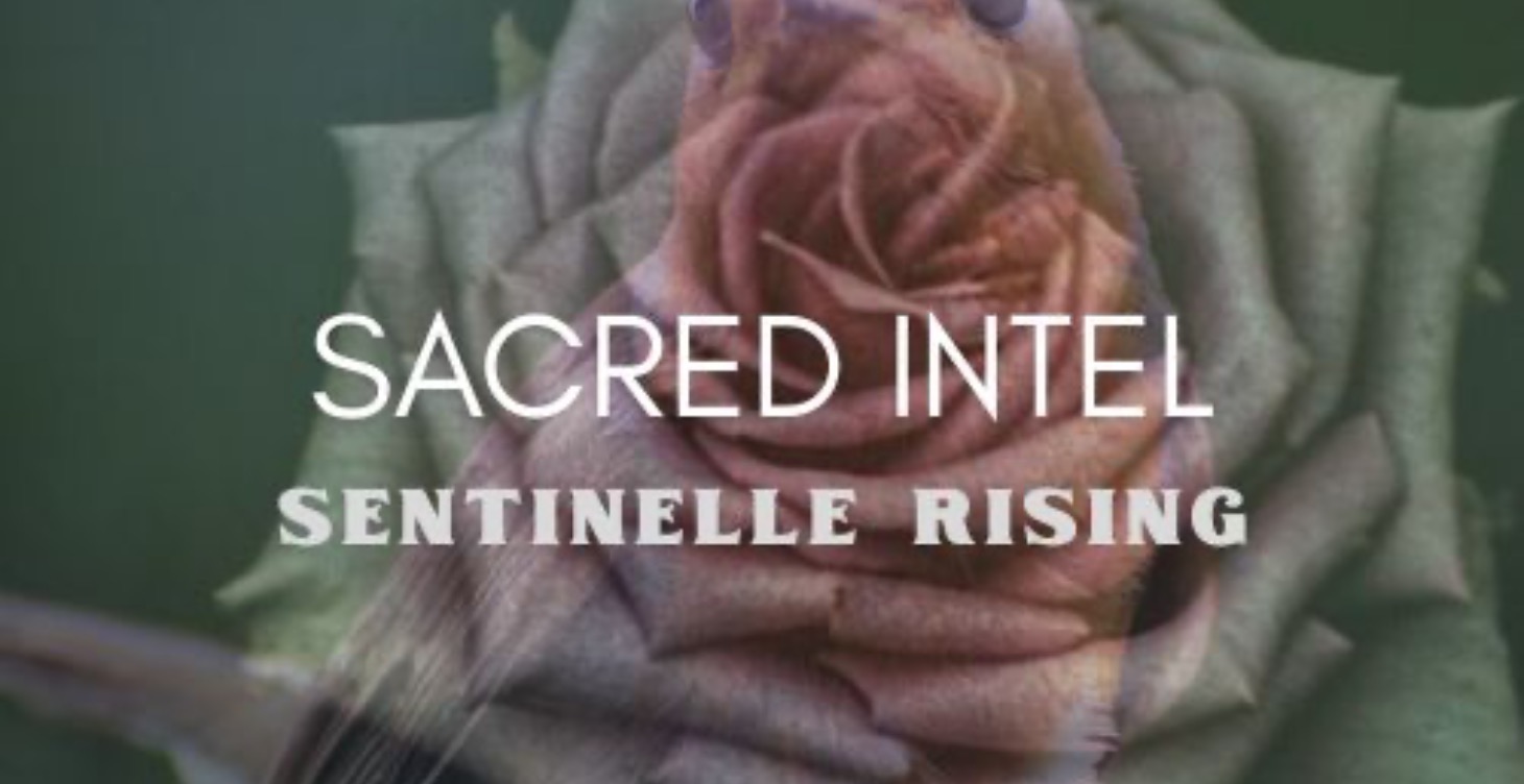 Sacred Intel & Prophetic Awareness