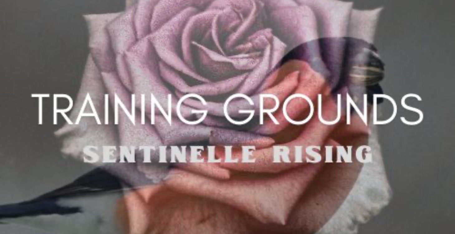 Sentinelle Training Grounds