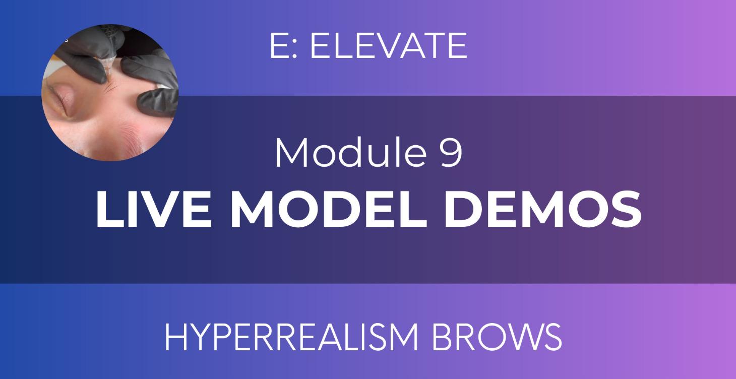Live Model Demos