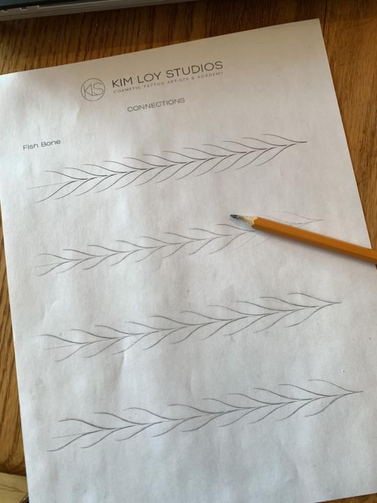 Finished the connections worksheets the other day and will be trying to get into the different spine patterns today! 