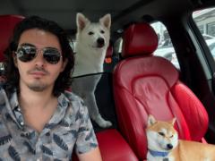 Tadzio Tavares de Wand