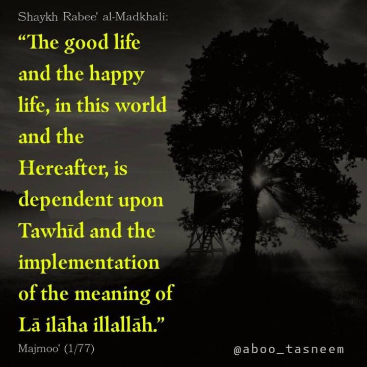 Mohammed Tabrez Pasha