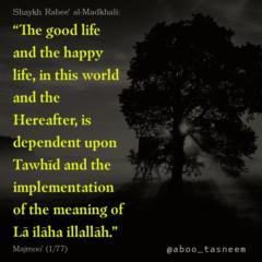 Mohammed Tabrez Pasha