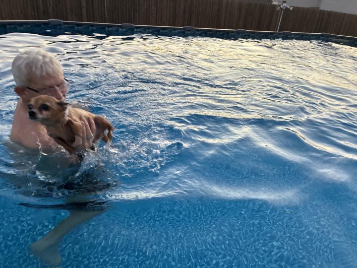 Swimming 