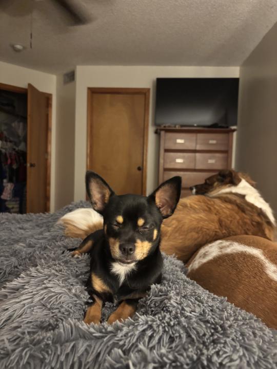 Getting ready for bed