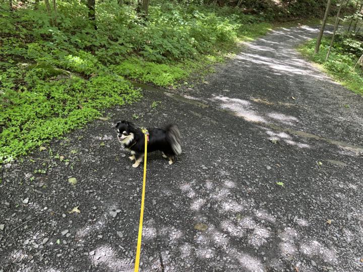 Outdoor adventures 