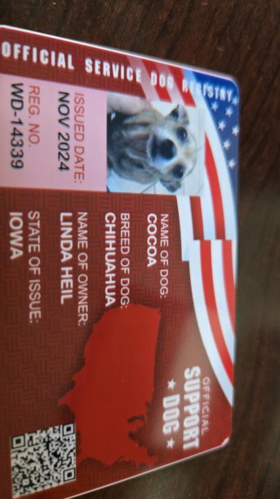 Emotional support dog