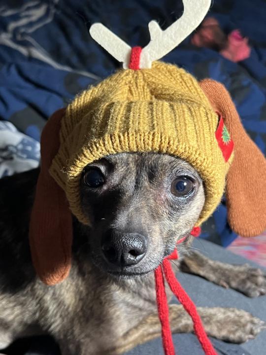 Grinch Hat-