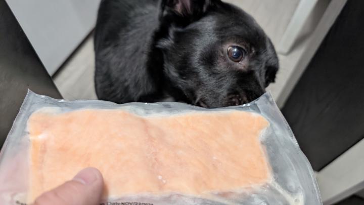 Whose dogs love it when you pull stuff from the freezer?