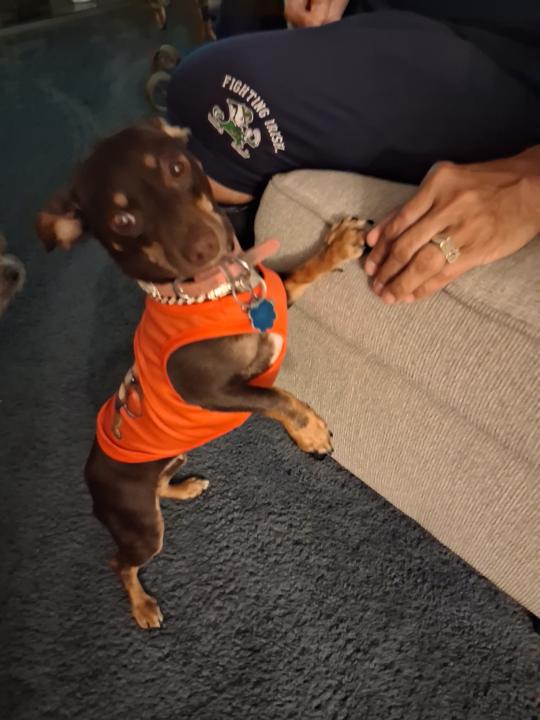 Penny