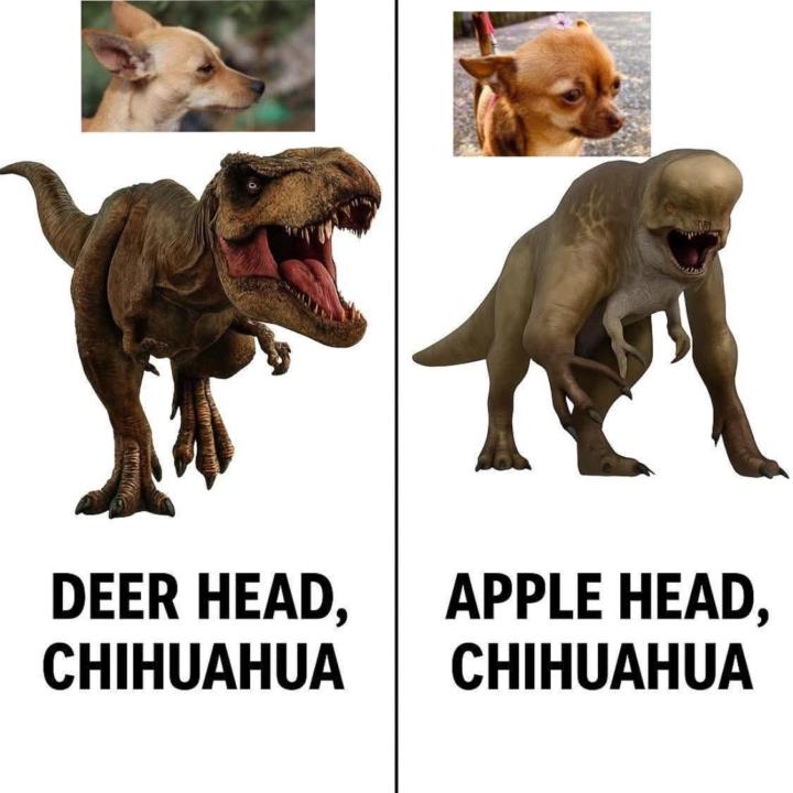 Deer head vs apple head 