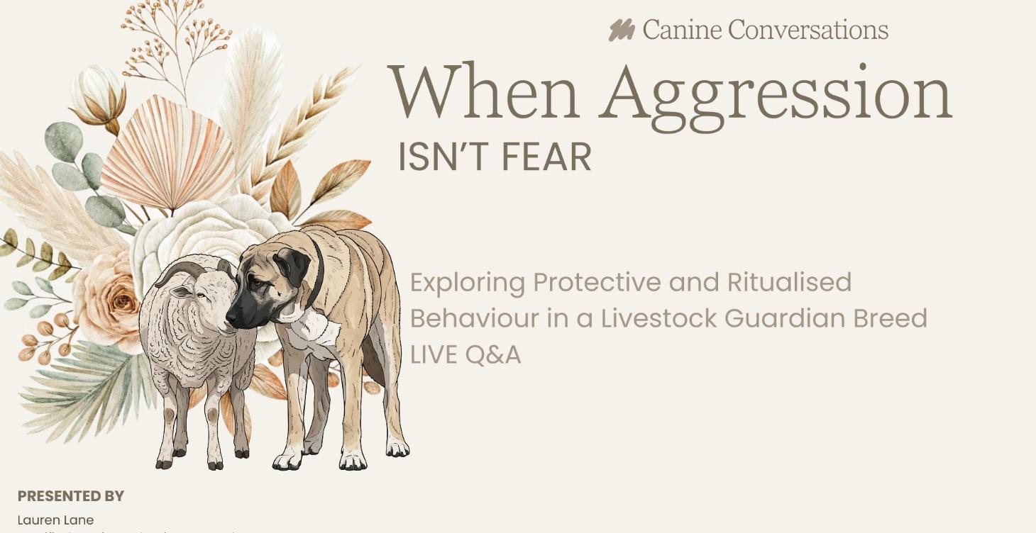 Case Study Benson | When aggression isn't fear.