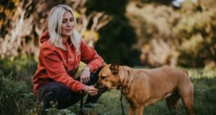 Canine Conversations 🐕🐾