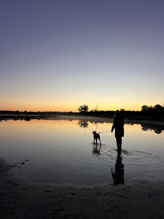We owe it to our dogs.