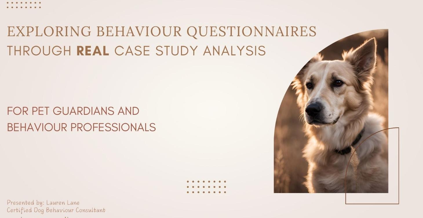 Questionnaire Case Study Analysis