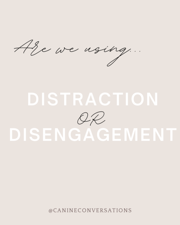 Should we distract our dogs?