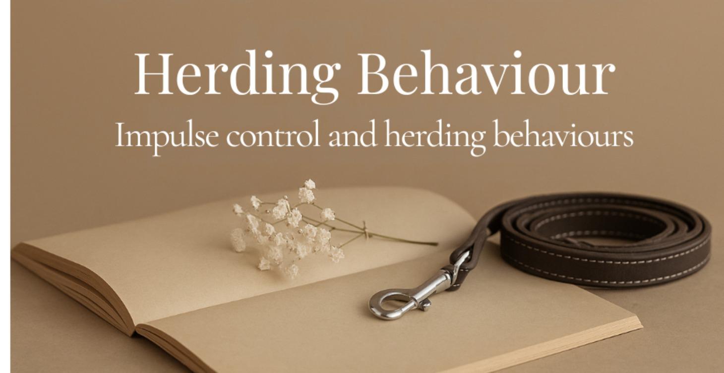 Herding Dog Behaviour and Sensitivity