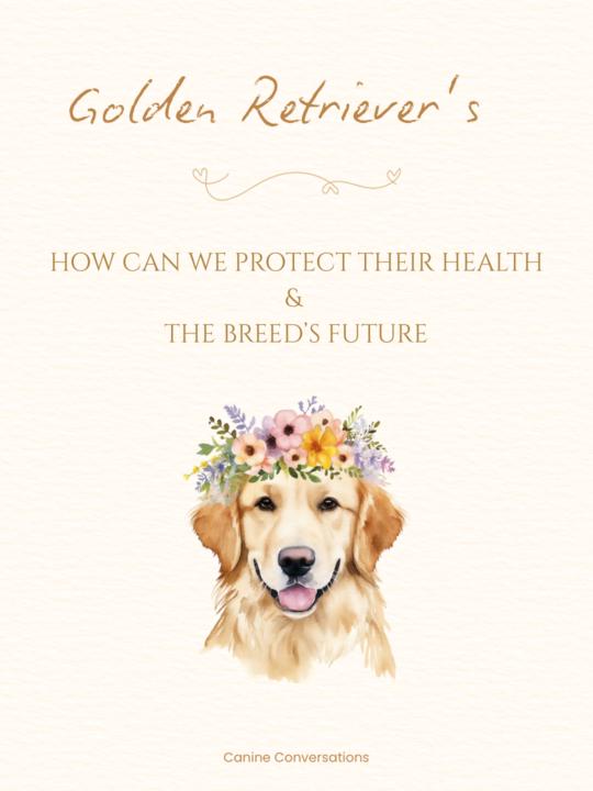 Golden Retriever - Health and Longevity 