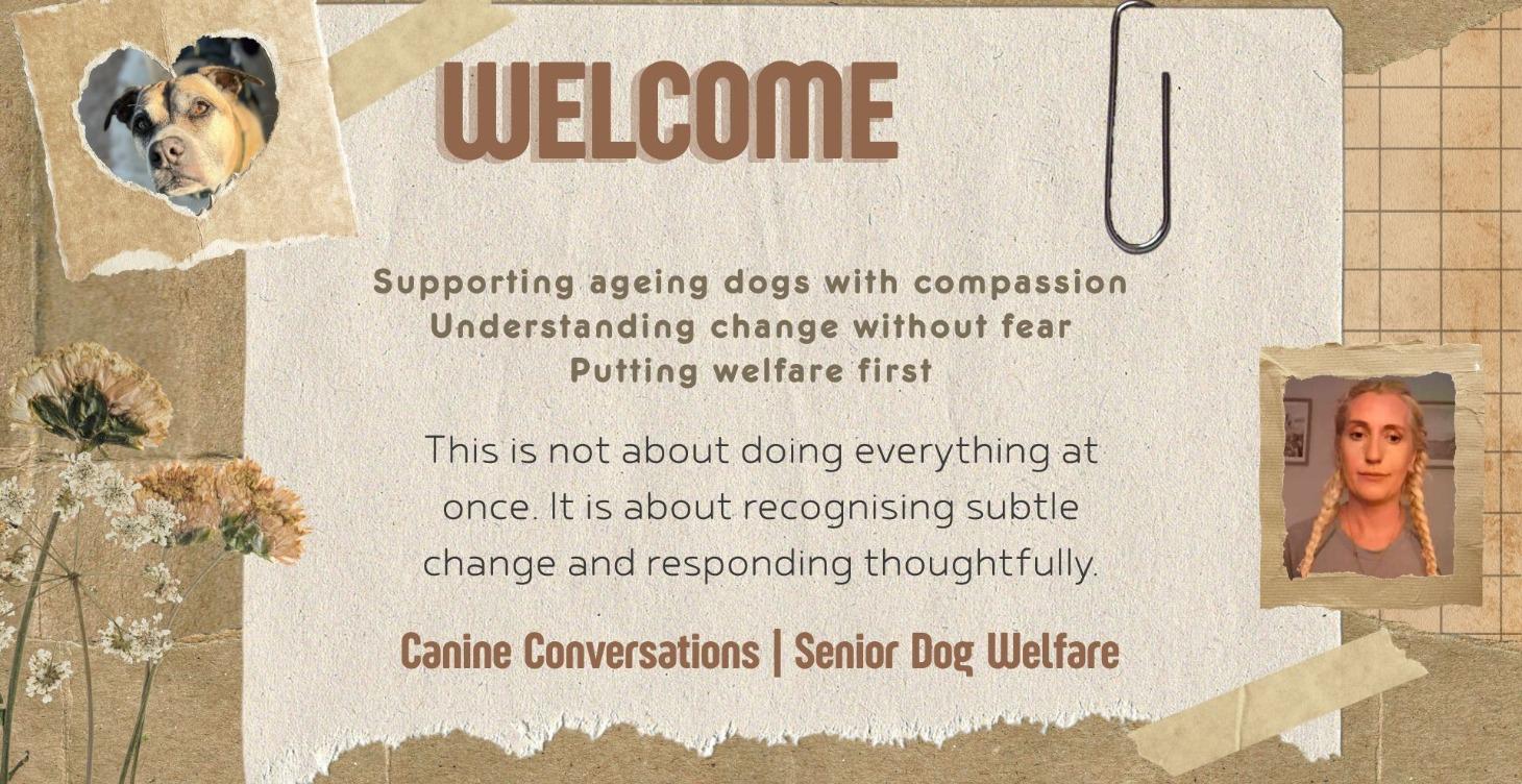 Senior Dogs & Quality of Life