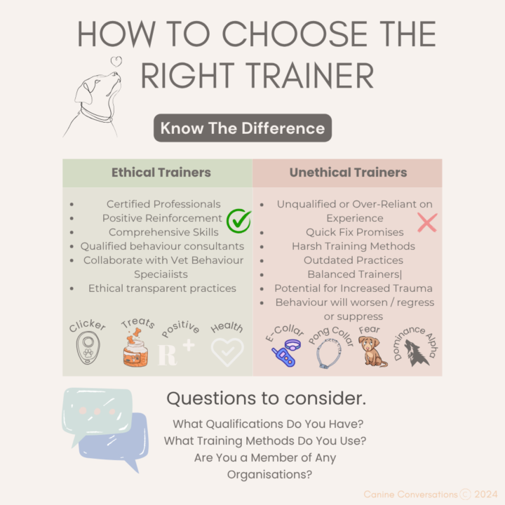 How to choose an Ethical Trainer