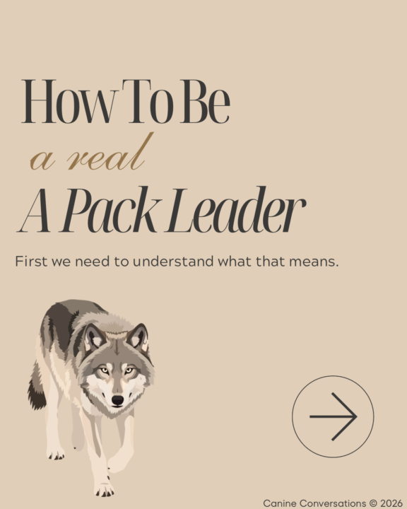 The Pack Leader