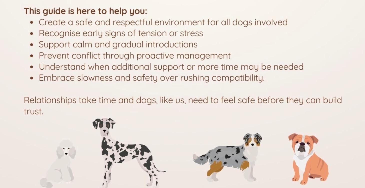 Your Second Dog: A Guide to a Multi-Dog Life