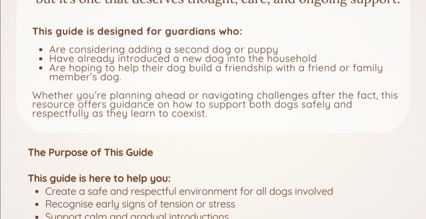 Your Second Dog: A Guide to a Multi-Dog Life
