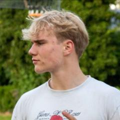 Maarten Degreef