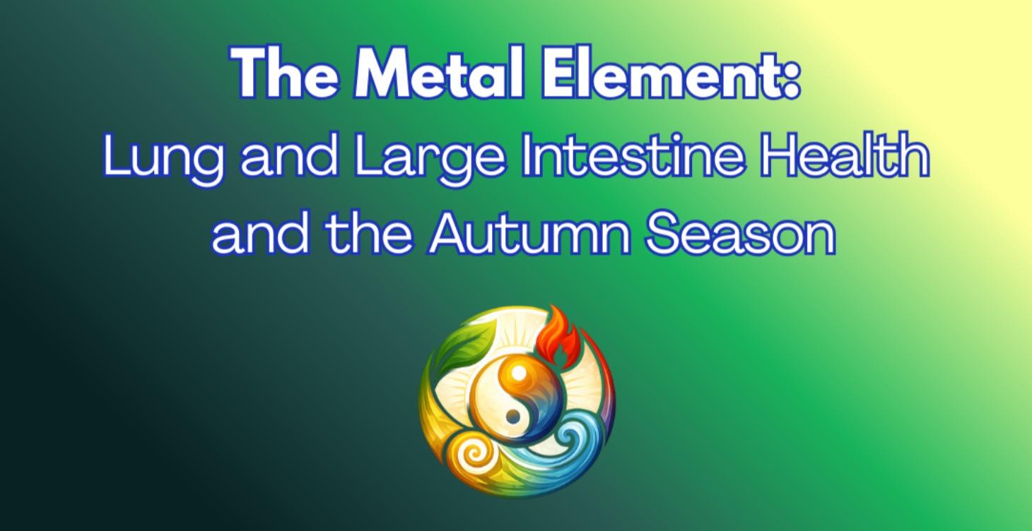 Metal Element- Lungs. Large Intestine & Autumn