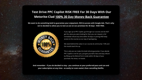 PPC Copilot | Google Ads gallery image