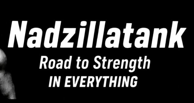 Nadzilla: RTS